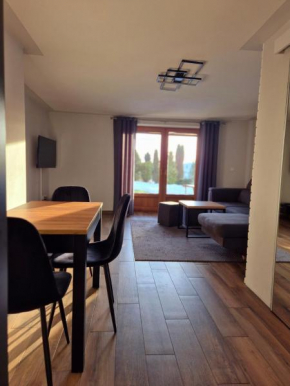 Apartament Pod Danielkami